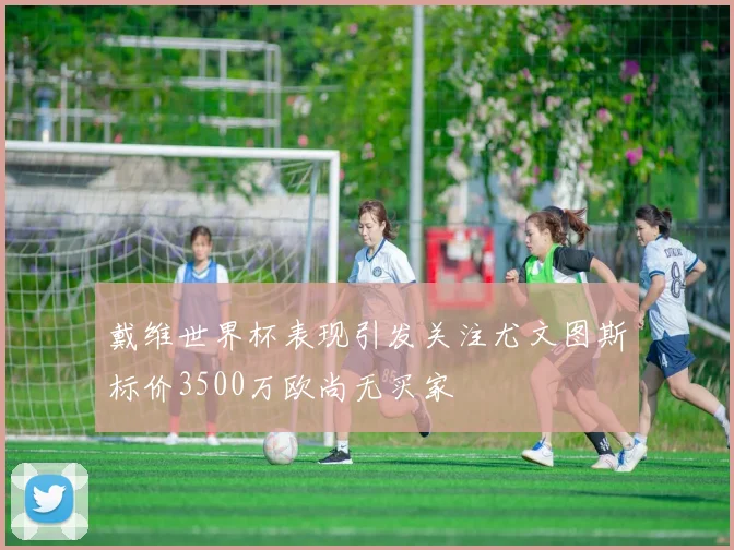 戴维世界杯表现引发关注尤文图斯标价3500万欧尚无买家