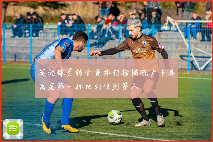 英超球员转会费排行榜揭晓卢卡库高居第一托纳利位列第八